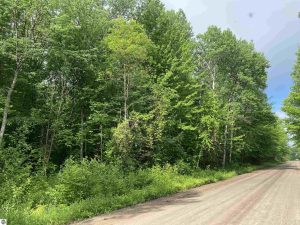 5 Acres For Sale by Stapleton Realty. Along the snowmobile trail, this wooded lot has been used for recreation, including hunting. Contact Christine 231-499-2698.