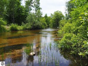Image for Betsie River